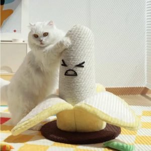 S22f856b0e0d948beb0a81703d5f1bf42i